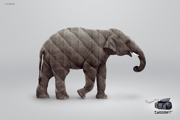 Wildcraft-Elephant