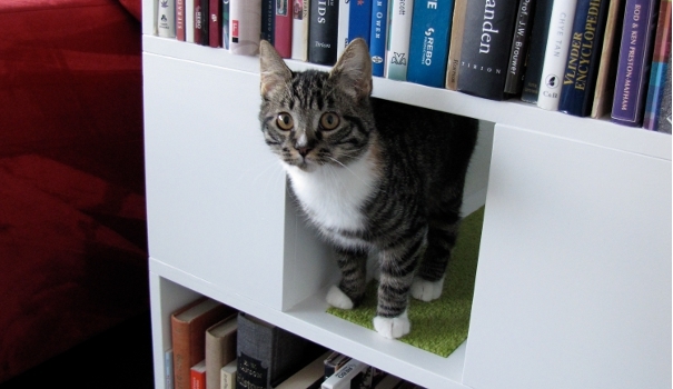 product_Cat_Furniture_Kattenmeubel_UrbanCatDesign_Products_CatCase15_F1