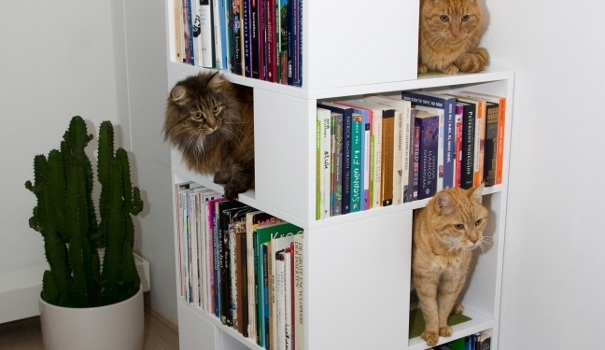 product_Cat_Furniture_Kattenmeubel_UrbanCatDesign_Products_CatCase21_F1